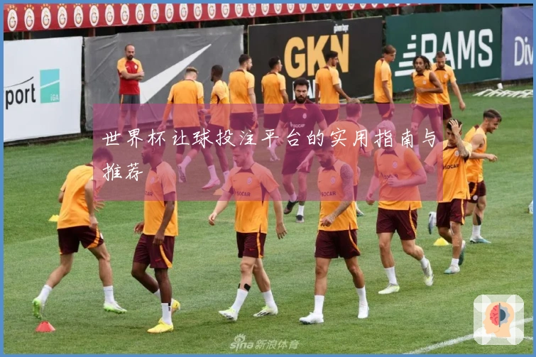 世界杯让球投注平台的实用指南与推荐