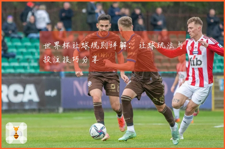 世界杯让球规则详解：让球玩法与投注技巧分享