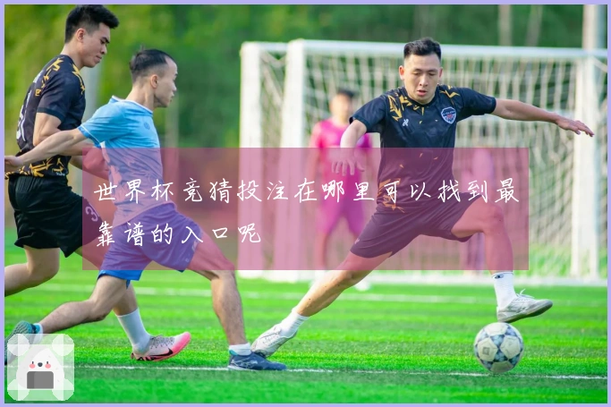 世界杯竞猜投注在哪里可以找到最靠谱的入口呢