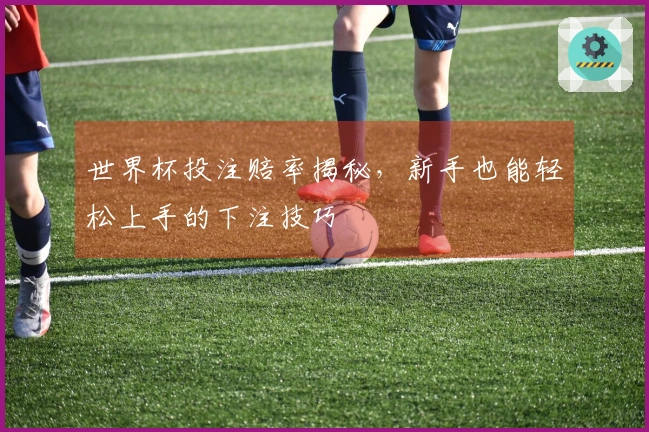 世界杯投注赔率揭秘，新手也能轻松上手的下注技巧