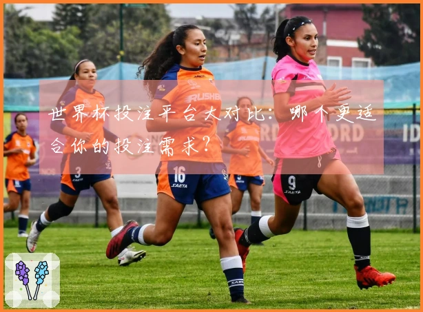世界杯投注平台大对比：哪个更适合你的投注需求？