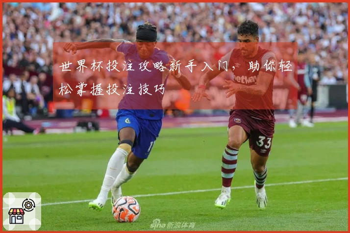 世界杯投注攻略新手入门，助你轻松掌握投注技巧