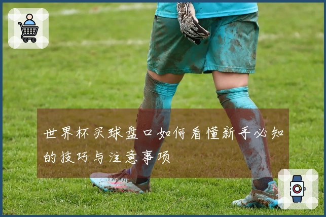 世界杯买球盘口如何看懂新手必知的技巧与注意事项