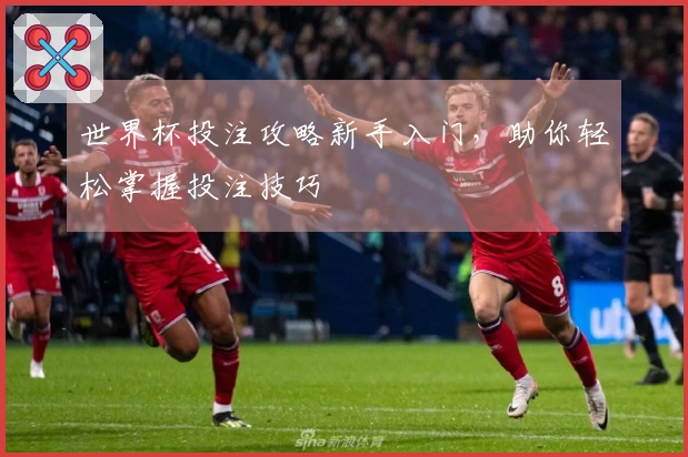 世界杯投注攻略新手入门，助你轻松掌握投注技巧