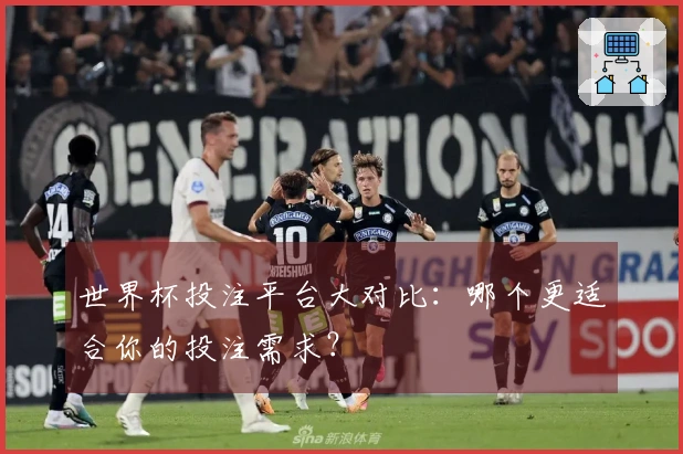 世界杯投注平台大对比：哪个更适合你的投注需求？