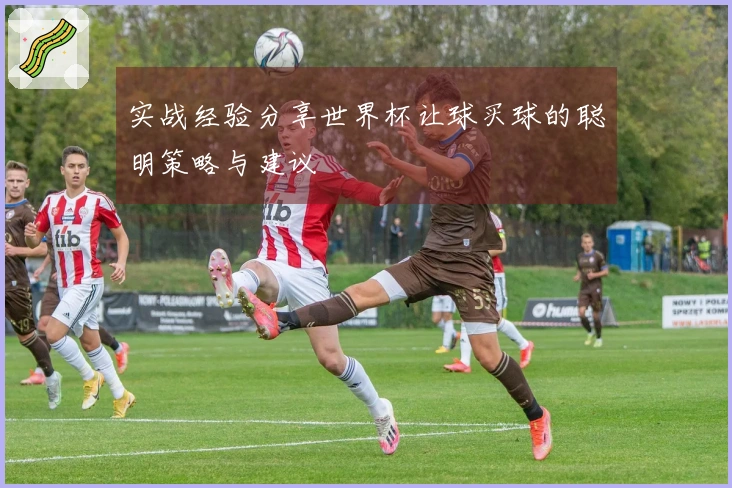 实战经验分享世界杯让球买球的聪明策略与建议