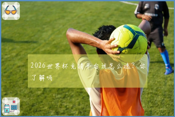 2026世界杯竞猜平台该怎么选？你了解吗