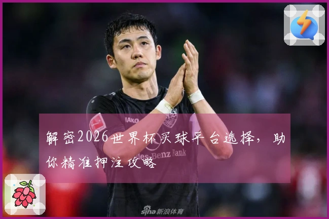 解密2026世界杯买球平台选择，助你精准押注攻略