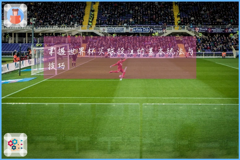 掌握世界杯买球投注的基本玩法与技巧