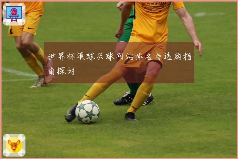 世界杯滚球买球网站排名与选购指南探讨