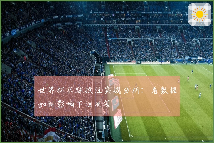 世界杯买球投注实战分析：看数据如何影响下注决策