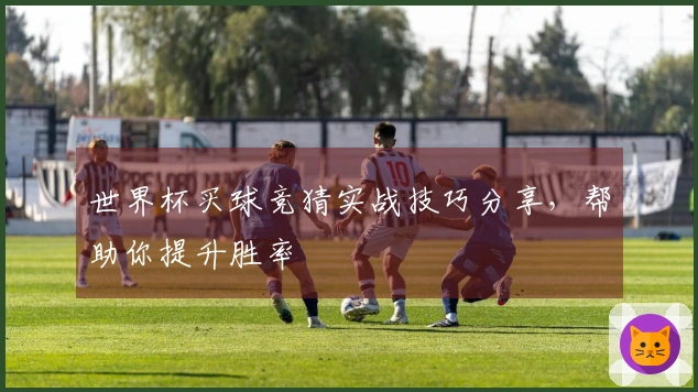 世界杯买球竞猜实战技巧分享，帮助你提升胜率