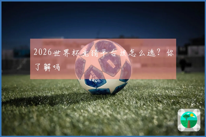 2026世界杯竞猜平台该怎么选？你了解吗