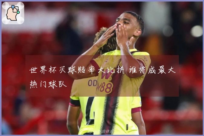 世界杯买球赔率大比拼 谁将成最大热门球队